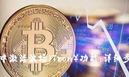 如何在TP钱包中激活波场（Tron）功能：详细步骤与注意事项