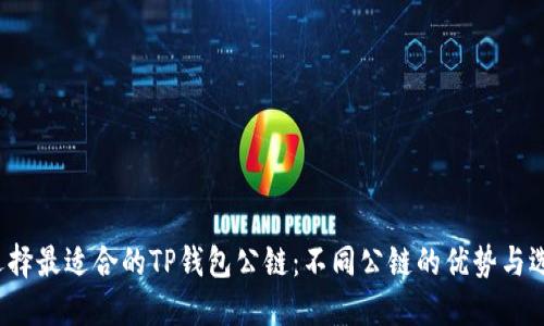  如何选择最适合的TP钱包公链：不同公链的优势与选择指南