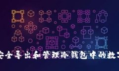 如何安全导出和管理冷钱