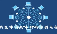 探寻TP钱包中消失币种的原