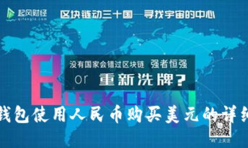 如何通过TP钱包使用人民币购买美元的详细步骤与技巧