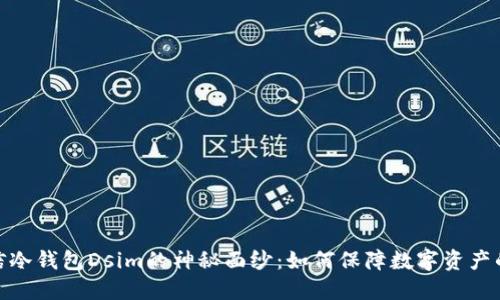 揭开中国电信冷钱包Dsim的神秘面纱：如何保障数字资产的安全与便捷