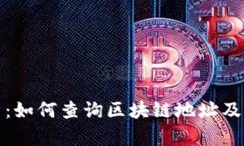 全面解析：如何查询区块链地址及相关信息