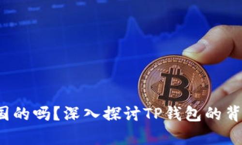 t p钱包是中国的吗？深入探讨TP钱包的背景与运营模式