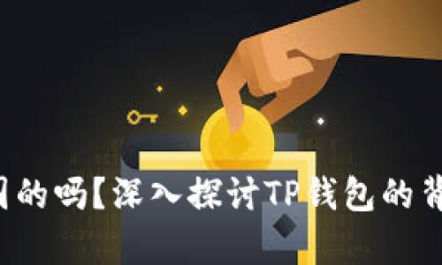 t p钱包是中国的吗？深入探讨TP钱包的背景与运营模式