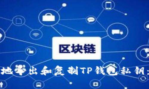 如何安全地导出和复制TP钱包私钥：实用指南