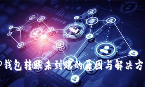 TP钱包转账未到账的原因与解决方法