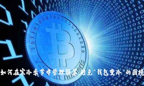 如何在寒冷季节中管理预算，避免“钱包变冷”的困境