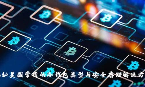 揭秘美国常用的冷钱包类型与安全存储解决方案