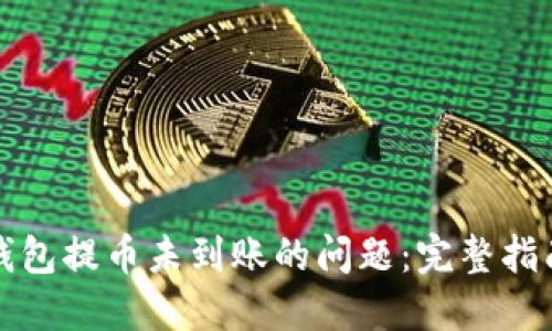 如何解决TP钱包提币未到账的问题：完整指南与实用建议