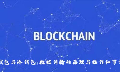 热钱包与冷钱包：数据传输的原理与操作细节详解