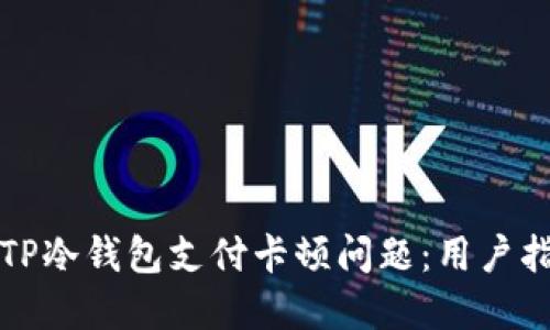 如何解决TP冷钱包支付卡顿问题：用户指南与技巧