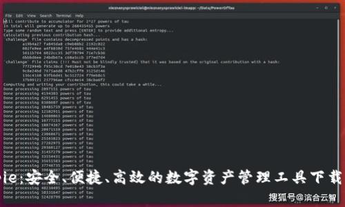 《Bitpie：安全、便捷、高效的数字资产管理工具下载指南》