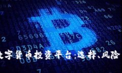深入探讨数字货币投资平