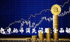 如何应对冷钱包中的币消失问题：全面解析与解