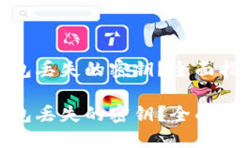 如何找回TP钱包丢失的密钥？全面指南与解决方案

如何找回TP钱包丢失的密钥？全面指南与解决方案