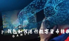 全面解析：t p 钱包如何进