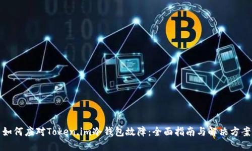 如何应对Token.im冷钱包故障：全面指南与解决方案