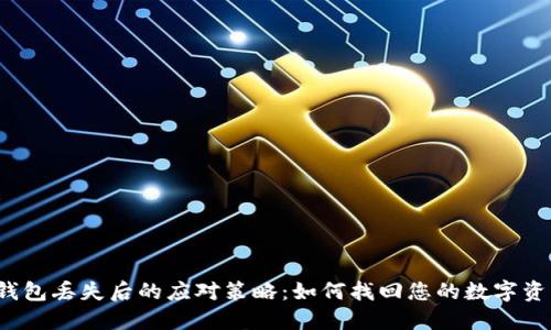 TP钱包丢失后的应对策略：如何找回您的数字资产？
