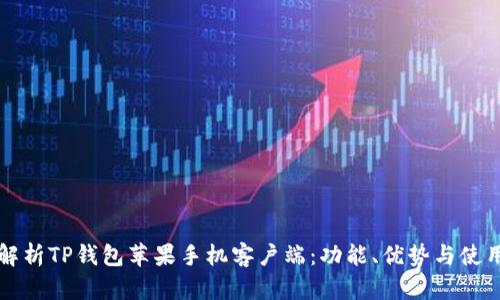 全面解析TP钱包苹果手机客户端：功能、优势与使用指南