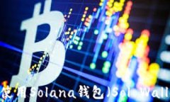 全面解析：如何使用Solana钱包（Sol Wallet）的完整