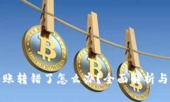 TP钱包转账转错了怎么办？全面解析与解决方案