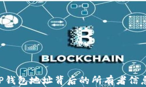 
如何查询TP钱包地址背后的所有者信息：全面指南