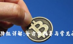   tP钱包降级详解：全方位